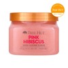 Tree Hut Body Scrub Pink Hibiscus 510g / 트리헛 바디스크럽