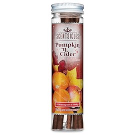 Scentsicles Spiced Pumpkin n Cider Scented Christmas Ornaments with Hooks - 1 Bottle (6 Sticks Total)