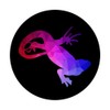 Lizard Geometric Blue Purple Red Pattern on Black - Lizard