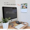 Active Corporation 2026 Wall Calendar CAT Monthly 26ACL-06, Starts January