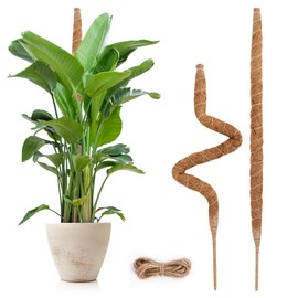 Ledander 2 Pack Moss Pole - 25'' Bendable Monstera Plant Support, DIY Coir Moss Poles for Climbing Creeper Plants, Indoor Plant Accessories for Growth