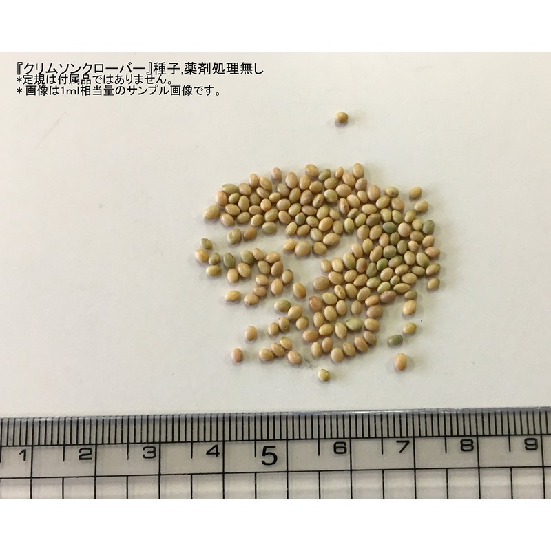 Fukkaen Seedlings 211994 Crimson Clover Seedlings, 0.3 gal (1 L)