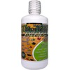 Productos El Colibri Moringa Power Liquid Dietary Supplement 32 fl.