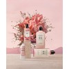 L'Occitane Rose Perfumed Body Milk, 8.5 fl oz (250 ml),