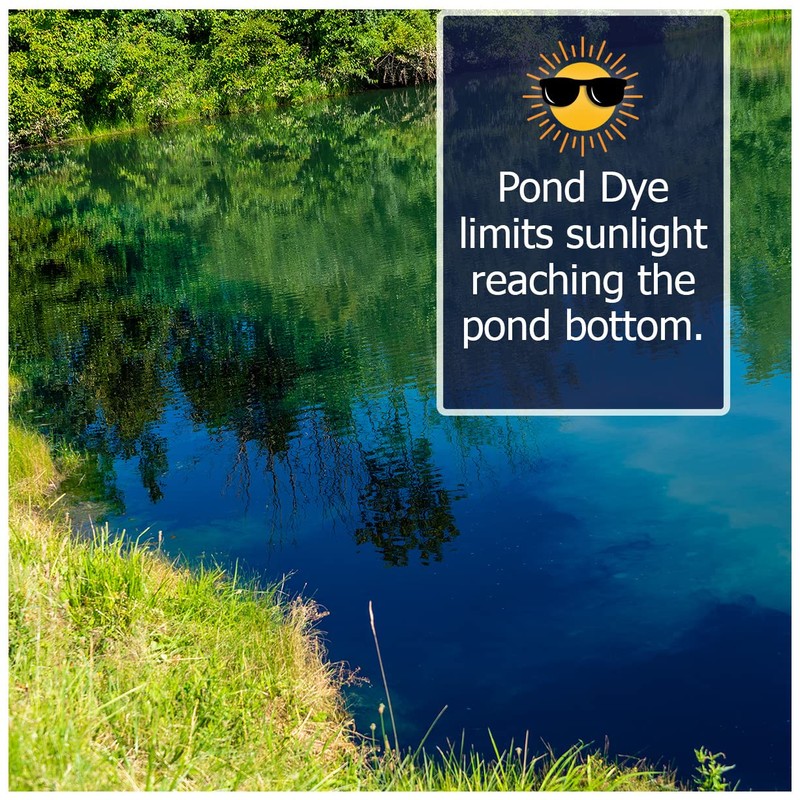 Vivid Blue Pond Dye Packets - 6 Water Soluble Packs