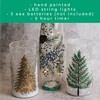 A Cheerful Giver - Pinecone - LED Glass Vase -