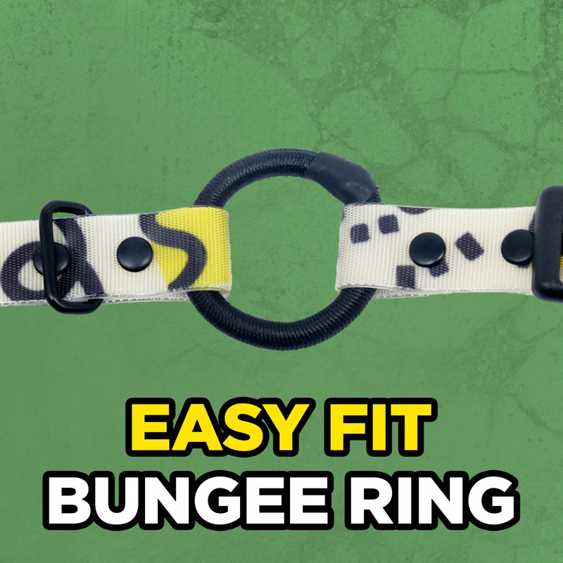 Dogtra Tom Davis Quick Release 3/4" Inch Strap with Buckle