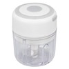 Electric Mini Garlic Chopper, 250 ml Cordless Portable Vegetable Chopper,