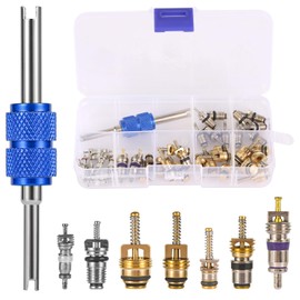 40pcs AC Valve Core Kit, Car Air Conditioner Valve Core Accessories A/C R12 R134a Refrigeration Valve Core with Double-Head Disassembly and Installation Remover Tool Tire Tyre Valve Set for Most Cars