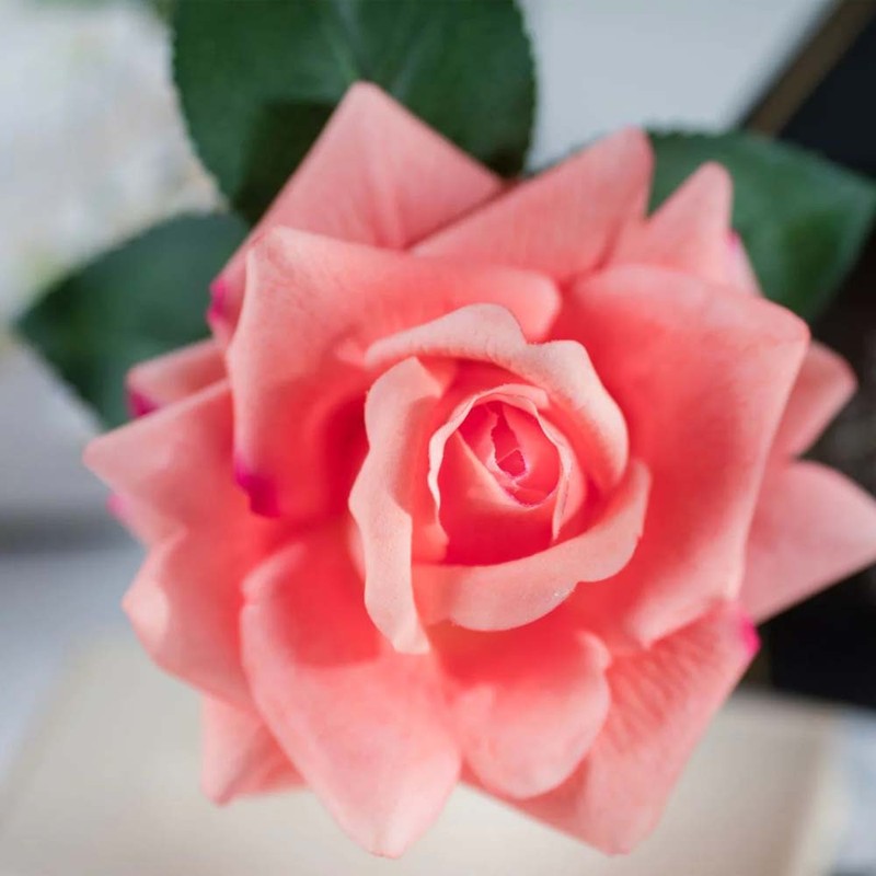 Cote Noire-Perfumed Natural Touch Single Rose in Black and White