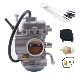 Dosens Carburetor Carb Compatible for Suzuki King Quad 300 LTF4WDX LTF300F 1991-1999 13200-19BE1 with Cleaning Tools