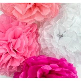Pack of 20 Mixed Colours Pink Tissue Paper Pom Poms Wedding Birthday Party Hanging Garland Decorations (Pink Set)