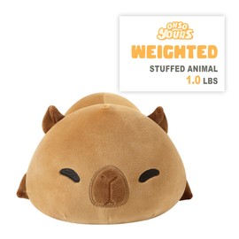 Onsoyours Original 9.8"|1.0 lbs Weighted Stuffed Animals, Cute Weighted Positive Capybara Plush Pillow Toy Soft Weighted Capybara Plushies Gift for Kids Adults