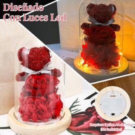 Nasjac Flor Rosa Eterna, Regalos para Mujer Mamá, Anillo Collar con I Love You 100 Idiomas, Rosas Flores Conservadas con Luz LED, Regalos para San Valentín, Cúpula de Acrílico, Tarjeta de Felicitación