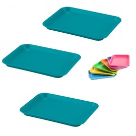 AmeriCan Goods 3 Pcs Dental Autoclavable Procedure Set Up Flat Tray Medical Instrument Set Up Flat Tray Size F - 9 5/8" W x 6 5/8" D x 7/8" Teal