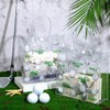 Aliceset 20 Pcs Golf Party Clear Goodie Bag with Handles
