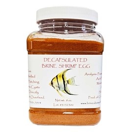 Decapsulated Brine Shrimp Eggs (Non-Hatching), 8 oz Jar