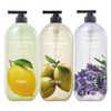 On the Body The Natural Body Wash 900ml (Select 1) - Olive / 온더바디 더내추럴 바디워시900ml 택1 - 올리브