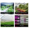 Solar Plant Grow Light Strip Eco Friendly 5W LED High