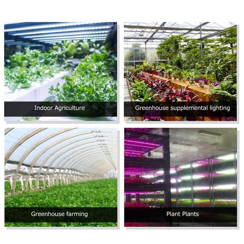Solar Plant Grow Light Strip Eco Friendly 5W LED High
