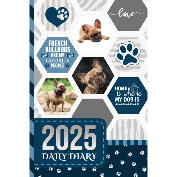 2025 Daily Diary: One Page Per Day / 6x9 Dated