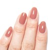 Homei Cocoa Chai (FN-8) 12FREE Nail Cover Hardener, 0.5 fl