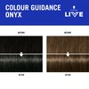 Schwarzkopf LIVE Go Gloss Onyx, Colour & Care Hair Glossing