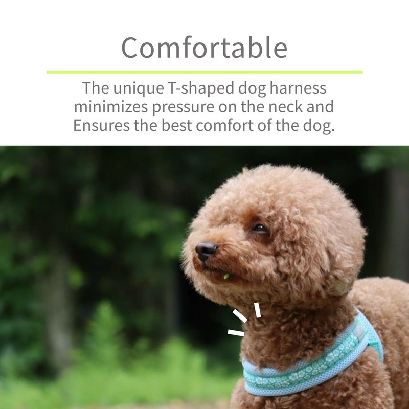 Hakusan Just Fit Dragon Harness Aloha Mesh (Ocean Blue Aloha,