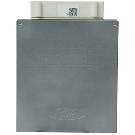 Cardone 78-4233 Remanufactured Ford Engine Control Module (ECM) / Computer