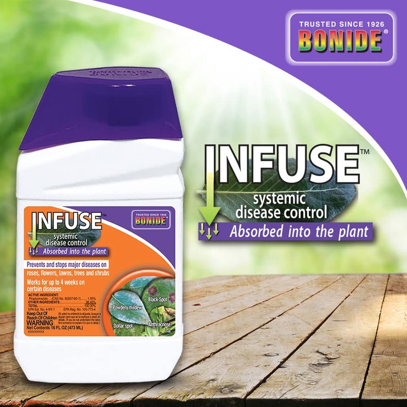 Bonide Infuse Systemic Disease Control, 16 oz Concentrated Solution for