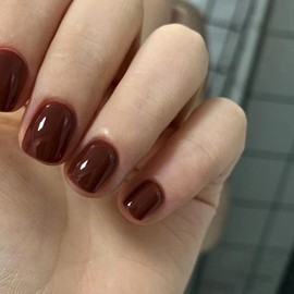 Pack of 24 False Nails, Short Square, French Pure Colour Nails for Sticking, Acrylic False Nails, Press on Nails, Square Full Cover Reddish Brown Fingernails, Fake Nails for Women and Girls