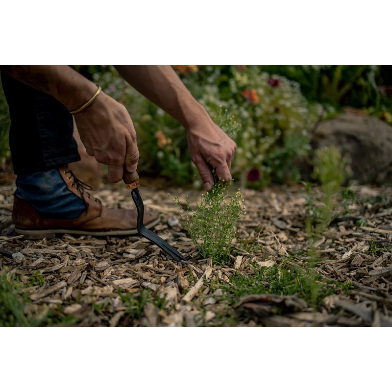 BAREBONES Dandelion Wading Fork