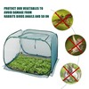ANC POP 3 Pack Pop Up Mesh Plant Cover, Plant