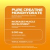 USN Micronised Creatine Powder 500g (79 Servings): Tropical Thunder Flavour,