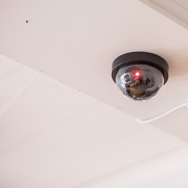 Mercury Dummy Dome Camera With Flashing Led