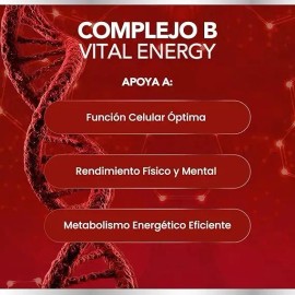 Complejo B Completo Vitalizate Vitamina B12 60 Cápsulas Sin Sabor