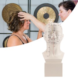 Head Acupuncture Model, Male Acupuncture Model,PVC HD Standard Acupoint Human Acupuncture Point Head Model Acupuncture Teaching Practice Tool with Accurate Acupuncture Points