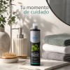 Shampoo De Órgano Y Nogal Cabello Teñido Matiza Oscuro 530