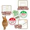 Gex Food and Hay DXBOX Fixed Type Dish Hay Feeder