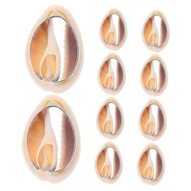 Vaguelly Bulk Jewelry Making Set 10pcs Seashell Beads for Jewelry Shell Jewelry Findings Decorative Sea Shells for DIY Projects