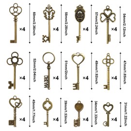 SANNIX 48 Pcs Vintage Skeleton Keys Flying Keys Charms with 50 Pairs Dragonfly Wings and 30m Elastic Crystal String for Room Decorations