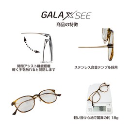 GALAXSEE 老眼鏡 ブルーライトカット ステンレス合金フレーム カジュアル GA-201＆202 (C62 デミ, 1.00)