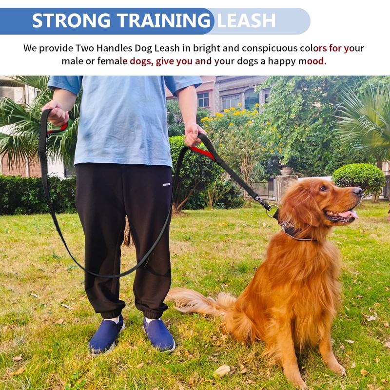 Strong Heavy Duty Dog Leash - 6ft Reflective Nylon Training