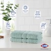 Clorox Bleach Friendly, Quick Dry, 100% Cotton Hand Towels (2