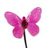 Ideaworks Solar Swaying Firefly Stakes Set of 2 Butteryfly