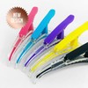 Eagle hair clip/beauty salon hair tweezers/hair pin/pin (5 pieces) / 독수리 헤어클립/미용실헤어핀셋/헤어핀/집게핀(5개)
