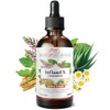 Phoenix der Lebenskraft InflamEx Life Elixir - Highly Concentrated Herbal