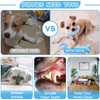 6 Pack Dog Chew Toys Set, Puppy Teething Toys, Blue