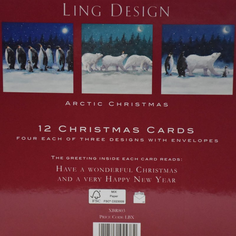 Box of 12 Assorted Festive Winter Animals Square Christmas Cards