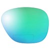 Reptile Suncloud Sentry Polarized Sunglass Replacement Lenses Green Mirror Bi-Focal